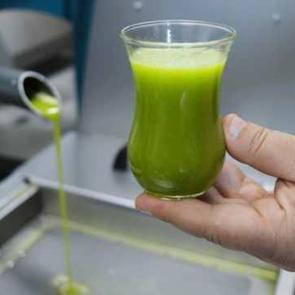 T&uuml;rkiye'den d&uuml;nyaya satıyorlar: Bir altın iki g&uuml;m&uuml;ş madalya kazandılar