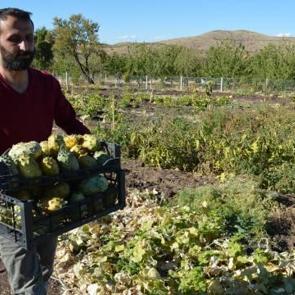 'Yetişmez' diyenlere inat ekti! Yeni gelir kapısı olacak