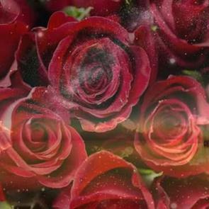 R&uuml;yada g&uuml;l g&ouml;rmek ne demektir? R&uuml;yada g&uuml;l kokladığını g&ouml;rmek...