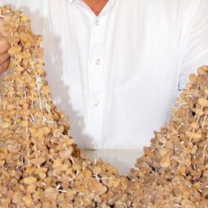 8 ay boyunca kurutuluyor! Kilosu bin 500 lira