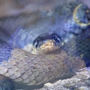 R&uuml;yada yılan &ouml;ld&uuml;rmek ne anlama gelir? R&uuml;yada yılanın başını ezdiğini g&ouml;rmek...