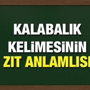 Kalabalık zıt anlamlısı nedir? Kalabalık kelimesinin eş anlamlısı ve &ouml;rnek c&uuml;mleleri...
