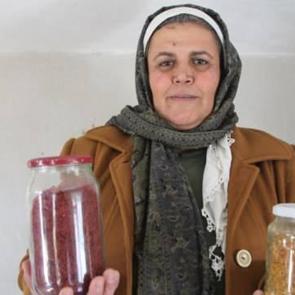 1 d&ouml;n&uuml;mden 1 kilo &ccedil;ıkıyor! Kilosu 90 bin lira