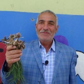 Bu otun kilosu bin liradan yok satıyor