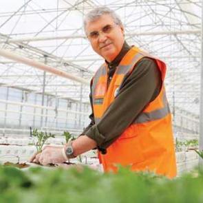 &Ouml;rnek olacak proje! 1 d&ouml;n&uuml;mde 50 ton domates