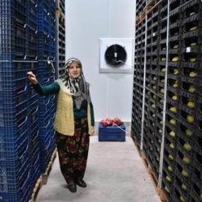 70 yaşındaki Hayriye teyze kendi &uuml;retiyor, d&uuml;nyaya satıyor