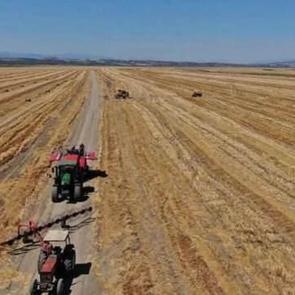 2/B arazileri satışında başvurular 31 Aralık'ta sona erecek