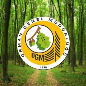 OGM en az 70 KPSS puan ile 249 personel alımı yapıyor! Başvurular ne zaman sona erecek?