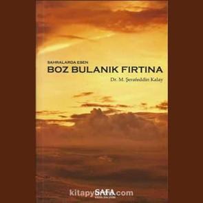 Şerafeddin Kalay yazdı: Sahralarda Esen Boz Bulanık Fırtına