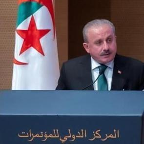 Şentop: Kur'an-ı Kerim'i hedef alan insan müsveddelerini bir kez daha lanetliyorum