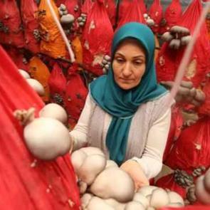 30 bin lira hibeyle yola &ccedil;ıktı, şimdi 4 ton &uuml;retim yapıyor