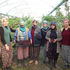 Kilosu 110 TL'ye satılıyor: Sadece su veriyorlar