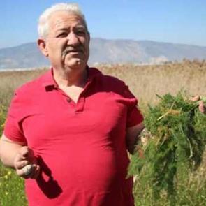 Yol kenarından topladığı otlardan para kazanıyor