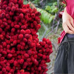 Bu tarif bayram kilolarına savaş a&ccedil;ıyor! 2 hafta i&ccedil;inde karın yağlarını yok ediyor