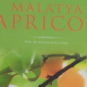 Kayısının kitabı da d&uuml;nya birincisi oldu