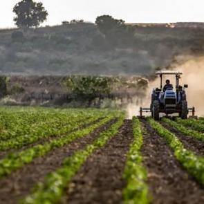 Tarım sekt&ouml;r&uuml;nden ihracatta ilk yarı rekoru