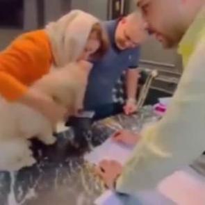Evinin tapusunu k&ouml;peğe veren kadın tutuklandı