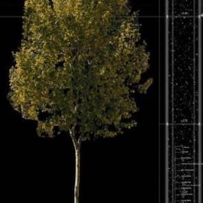 “Yazgan Tasarım’ın 20 Yılı” sergisi Ankara’dan sonra İstanbul’da