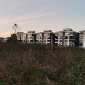 Ağaçları kesmeye başladılar! Arsa fiyatlarını dairelere ekliyorlar