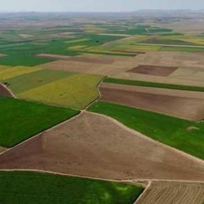 1,3 milyar hazine arazisi çiftçilere kiralandı