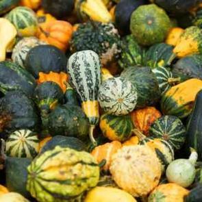 Yeşil kabağın faydaları nelerdir? Kabak yemenin 10 altın faydası!