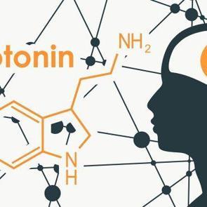 Serotonin, melatonin mutluluk hormonu nasıl artar? Mutluluk hormonu sağlayan şeyler...