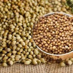 Kişniş tozu ve kişniş faydaları nelerdir? Kişniş ve tohumu nasıl t&uuml;ketilir?