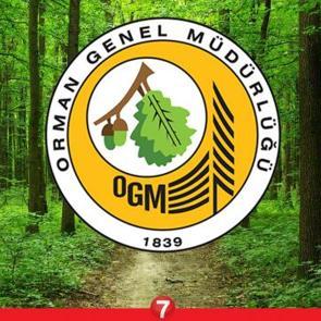 Orman Genel M&uuml;d&uuml;rl&uuml;ğ&uuml; en az ilkokul mezunu personel alacak! İŞKUR başvurusu nasıl yapılır?