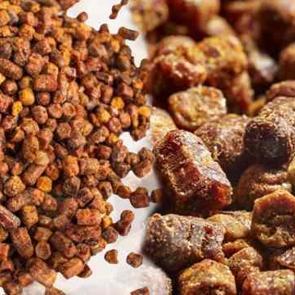 Arı ekmeği faydaları ve zararları nelerdir? Arı ekmeği nedir, nasıl t&uuml;ketilir?