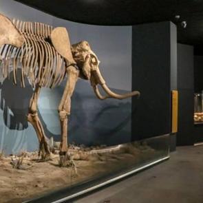 Erzurum Müzesi 10 ayda 90 bin ziyaretçi sayısına ulaştı