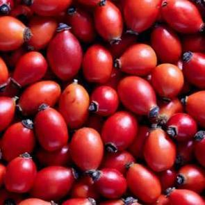 Kuşburnu faydaları nelerdir? Kuşburnu &ccedil;ayı ve marmelatı nasıl yapılır?