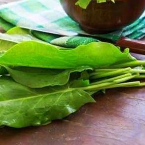 Tere otu nasıl t&uuml;ketilir, terenin faydaları nelerdir? Tere otu kaynatıp i&ccedil;mek...