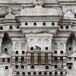 Asırlardır dünyaya örnek olan gelenek: Osmanlı kuş sarayları