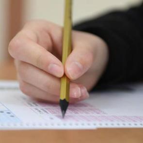 DGS adaylarının eğitim bilgilerini kontrol s&uuml;reci başladı