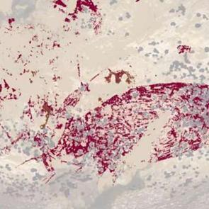 Yeni rekor bu resimde! 51 bin 200 yıllık resimde ilgin&ccedil; fig&uuml;rler...