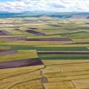 Arsa alacaklara &ccedil;ok &ouml;nemli uyarı! Uzmanlar tek tek a&ccedil;ıkladı