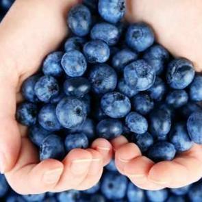 Yaban mersini faydaları nelerdir, taze yaban mersini nasıl t&uuml;ketilir?