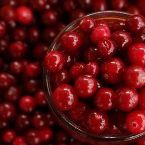 Kızılcık suyunun faydaları nelerdir, kızılcık suyu nasıl yapılır? Yabani ve kurutulmuş kızılcık faydaları!