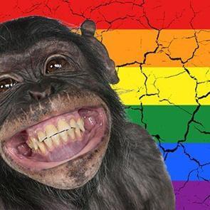 Maymun &ccedil;i&ccedil;eği vir&uuml;s&uuml; ile ilgilli dikkat &ccedil;eken rapor! Y&uuml;zde 98 oranında onlarda &ccedil;ıkıyor