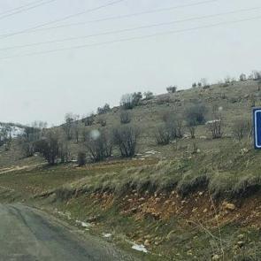 Tutuklanan muhtarın yerine kayyım atandı