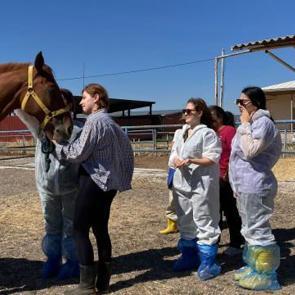 Veteriner adayları &ccedil;iftlik hayatını yakından tanıdı