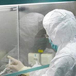 Maymun &ccedil;i&ccedil;eği i&ccedil;in en riskli il hangisi? Mehmet Ceyhan a&ccedil;ıkladı