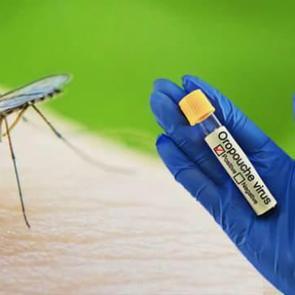 Tembellik ateşi vir&uuml;s&uuml; nedir? Tembellik ateşinde hamileler i&ccedil;in tehlikeler ve g&uuml;venli seyahat ipu&ccedil;ları