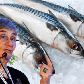 Canan Karatay'dan balık tazeliği testi: Bayat balık nasıl anlaşılır?