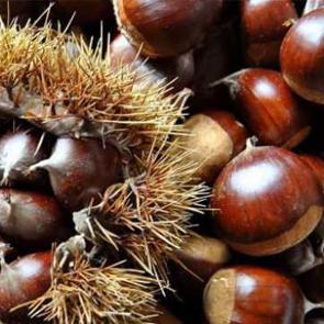 Kestane kabuğunun faydaları nelerdir? Kanser riskini azaltıyor!