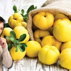 &Ouml;ks&uuml;r&uuml;k i&ccedil;in ayva k&uuml;r&uuml; nasıl yapılır? Tereyağı ve pekmezle birlikte şifa sa&ccedil;ıyor!