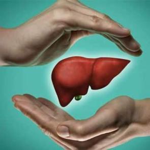 %70&rsquo;ini kaybetse bile 1-2 hafta i&ccedil;inde iki katına &ccedil;ıkar! Karaciğerin kendini yenileme g&uuml;c&uuml; nasıl &ccedil;alışır?