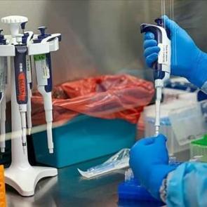 DS&Ouml;'den M &ccedil;i&ccedil;eği vir&uuml;s&uuml; a&ccedil;ıklaması: Halk sağlığı acil durumu oluşturmaya devam ediyor