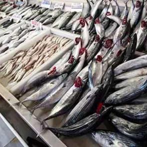 İşte şimdi tam zamanı! Kasım ayında yenmesi gereken balıklar neler?