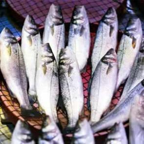 Aralık ayında yenmesi gereken balıklar neler?